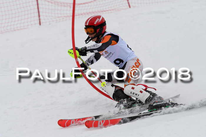 DSV Dt. Schülercup U14 SL 20.01.2018