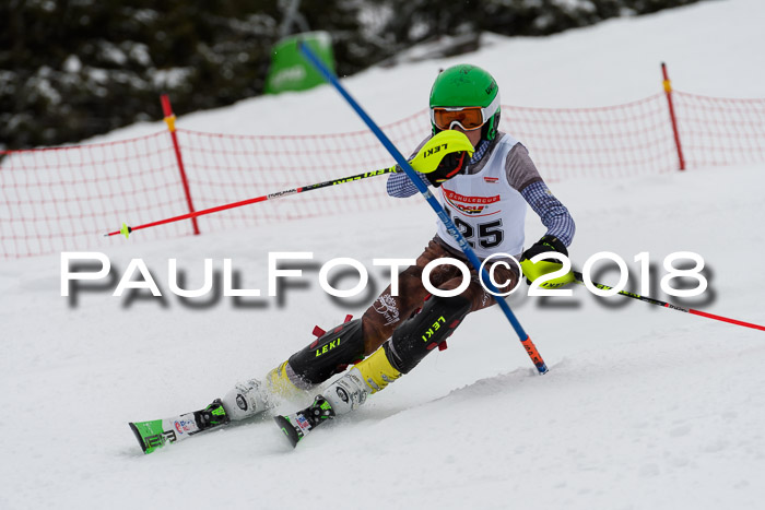 DSV Dt. Schülercup U14 SL 20.01.2018