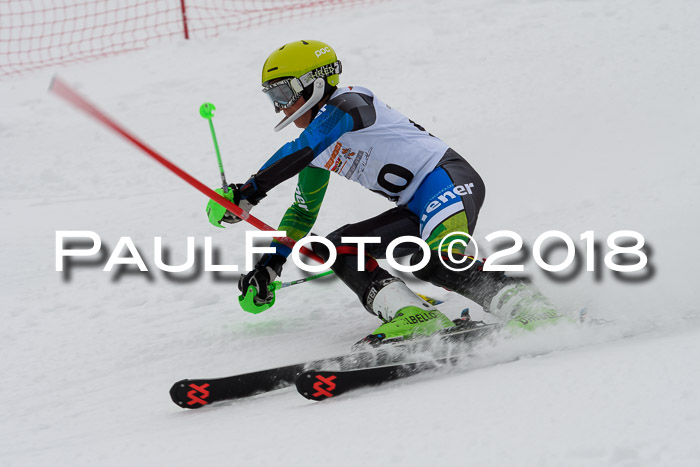 DSV Dt. Schülercup U14 SL 20.01.2018