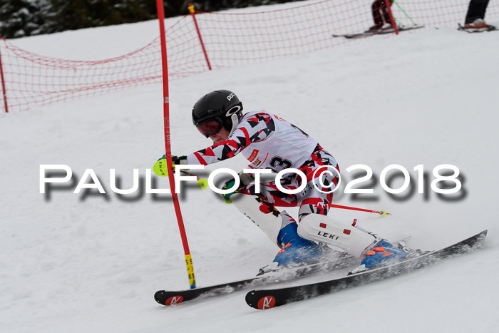 DSV Dt. Schülercup U14 SL 20.01.2018