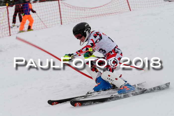 DSV Dt. Schülercup U14 SL 20.01.2018