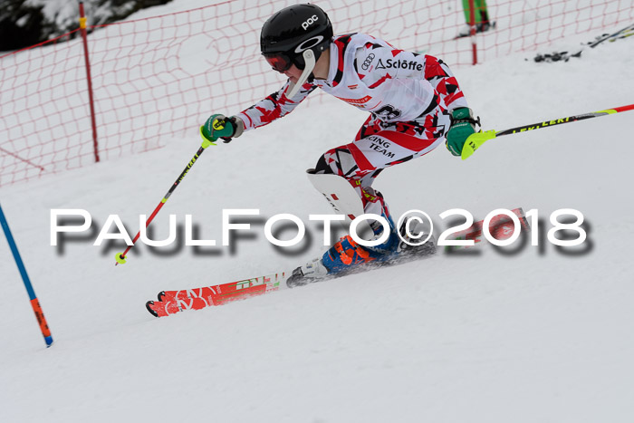 DSV Dt. Schülercup U14 SL 20.01.2018