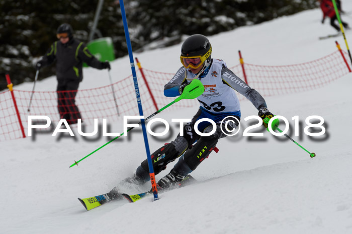 DSV Dt. Schülercup U14 SL 20.01.2018