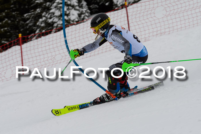 DSV Dt. Schülercup U14 SL 20.01.2018