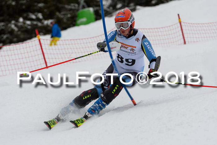 DSV Dt. Schülercup U14 SL 20.01.2018