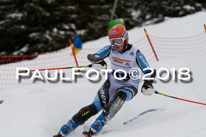 DSV Dt. Schülercup U14 SL 20.01.2018