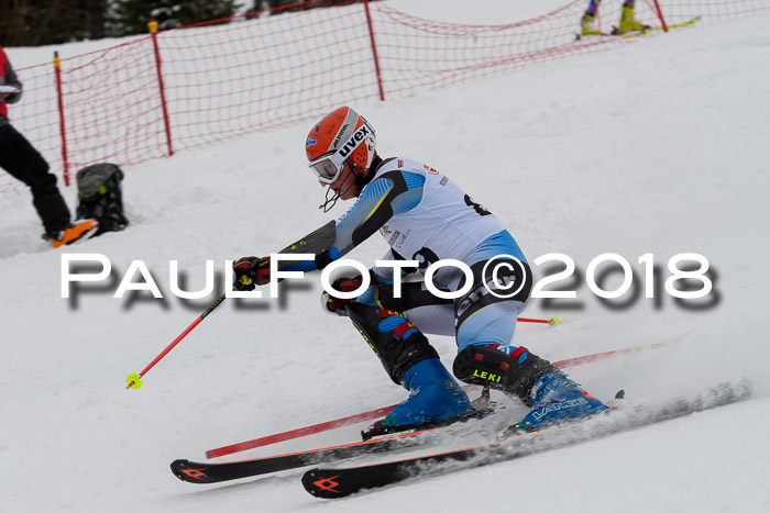 DSV Dt. Schülercup U14 SL 20.01.2018