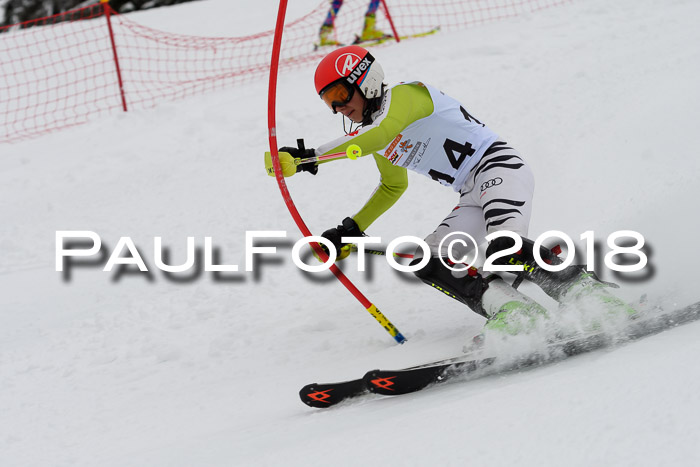 DSV Dt. Schülercup U14 SL 20.01.2018