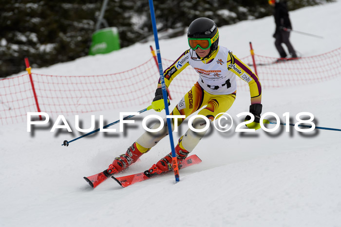 DSV Dt. Schülercup U14 SL 20.01.2018