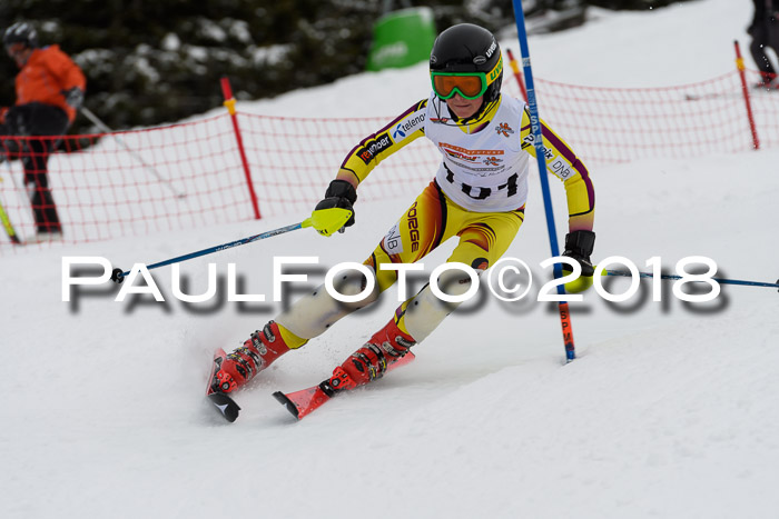 DSV Dt. Schülercup U14 SL 20.01.2018