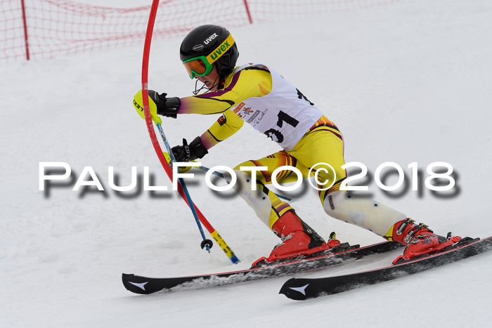 DSV Dt. Schülercup U14 SL 20.01.2018