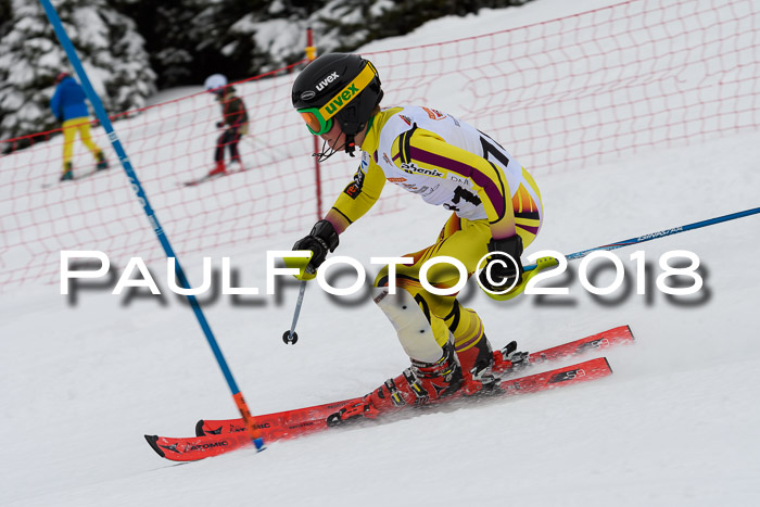 DSV Dt. Schülercup U14 SL 20.01.2018