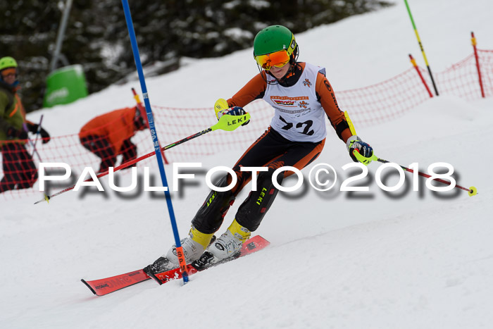 DSV Dt. Schülercup U14 SL 20.01.2018