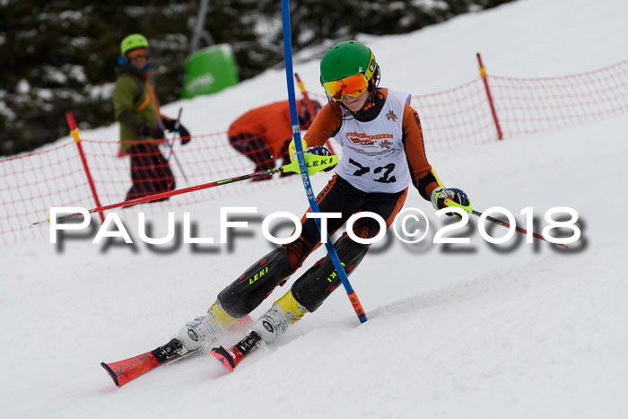 DSV Dt. Schülercup U14 SL 20.01.2018