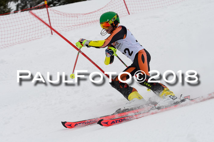 DSV Dt. Schülercup U14 SL 20.01.2018