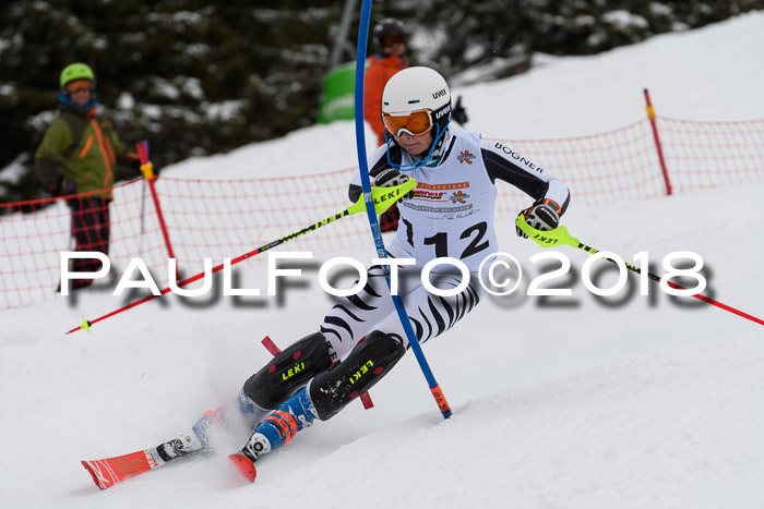 DSV Dt. Schülercup U14 SL 20.01.2018