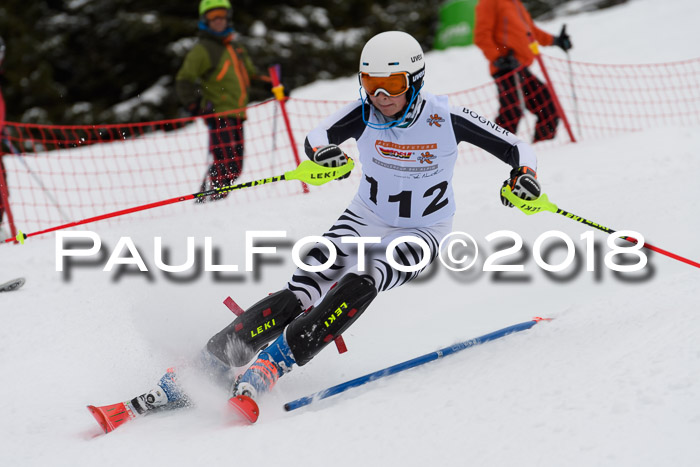 DSV Dt. Schülercup U14 SL 20.01.2018