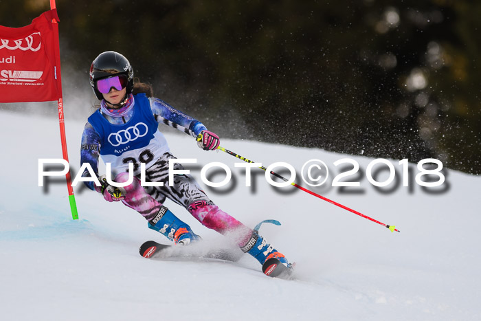 Bayerische Schülermeisterschaft Alpin Riesenslalom 27.01.2018