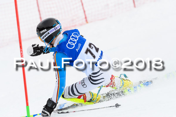 Bayerische Schülermeisterschaft Slalom 28.01.2018