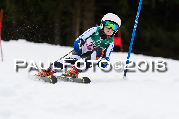 Schongauer Zwergerlrennen 28.01.2018