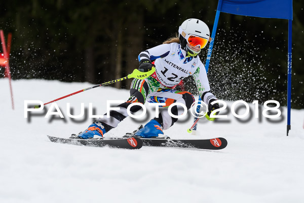 Schongauer Zwergerlrennen 28.01.2018