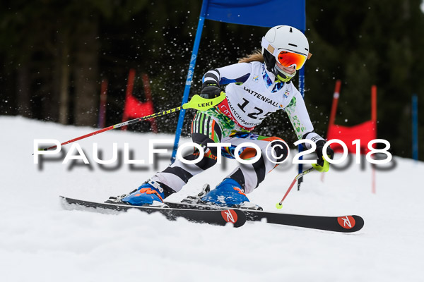 Schongauer Zwergerlrennen 28.01.2018