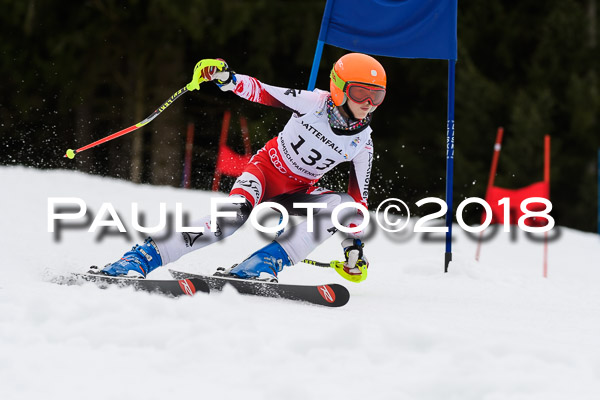 Schongauer Zwergerlrennen 28.01.2018