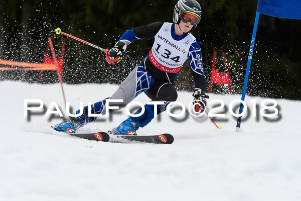 Schongauer Zwergerlrennen 28.01.2018