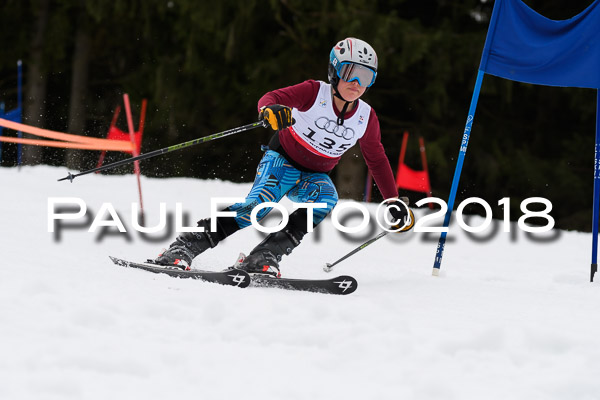 Schongauer Zwergerlrennen 28.01.2018