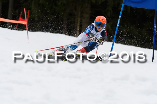 Schongauer Zwergerlrennen 28.01.2018