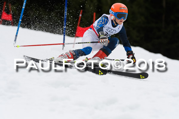 Schongauer Zwergerlrennen 28.01.2018