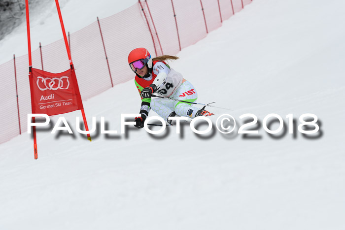 FIS RiesenslalomDamen Lenggries 2.2.2018