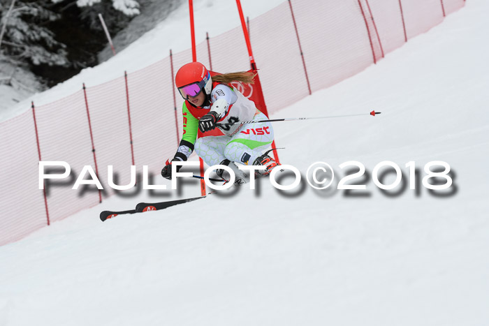 FIS RiesenslalomDamen Lenggries 2.2.2018