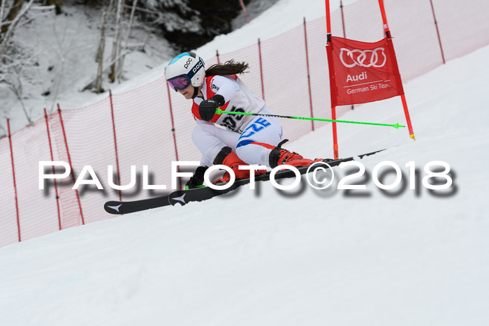 FIS RiesenslalomDamen Lenggries 2.2.2018