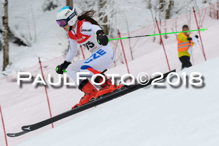 FIS RiesenslalomDamen Lenggries 2.2.2018