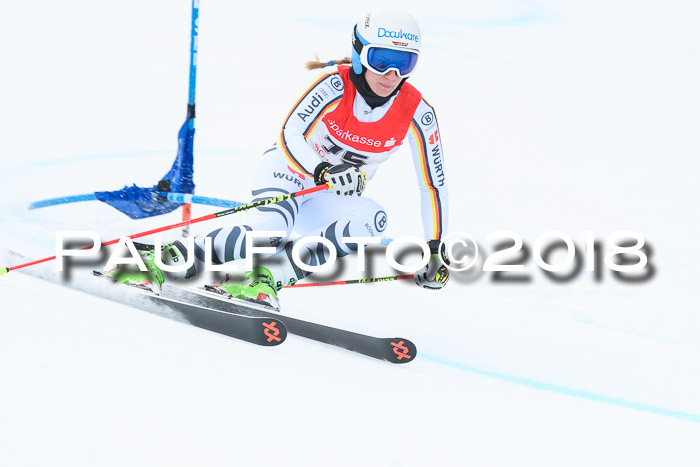 FIS RiesenslalomDamen Lenggries 2.2.2018