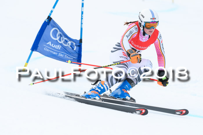 FIS RiesenslalomDamen Lenggries 2.2.2018