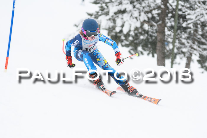 Münchner Skimeisterschaft 2018