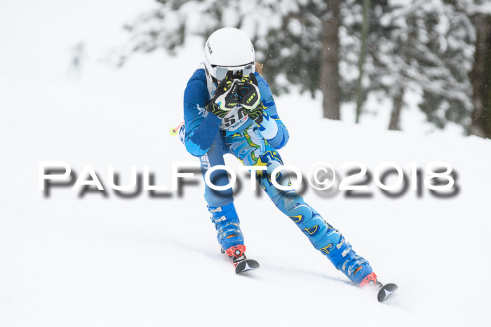 Münchner Skimeisterschaft 2018