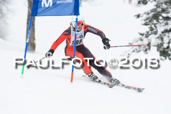 Münchner Skimeisterschaft 2018