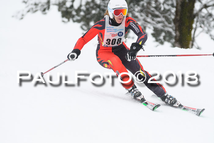 Münchner Skimeisterschaft 2018