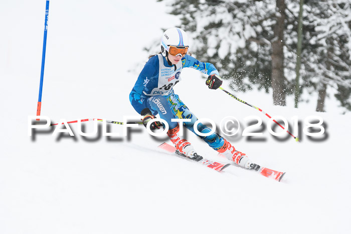 Münchner Skimeisterschaft 2018