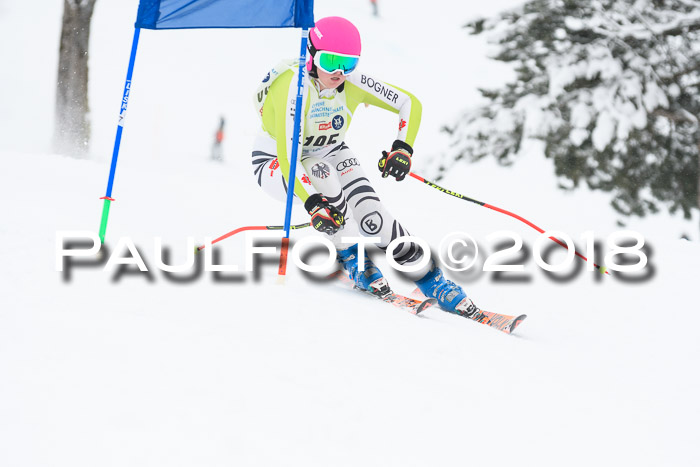 Münchner Skimeisterschaft 2018