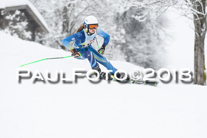 Münchner Skimeisterschaft 2018