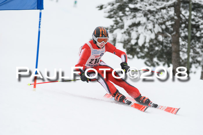 Münchner Skimeisterschaft 2018