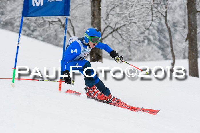 Münchner Skimeisterschaft 2018