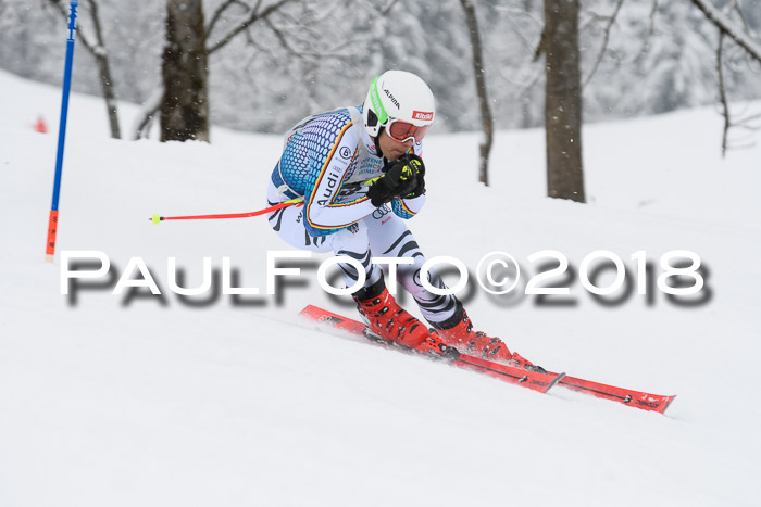 Münchner Skimeisterschaft 2018