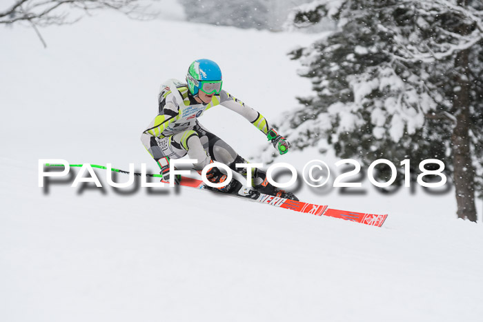 Münchner Skimeisterschaft 2018