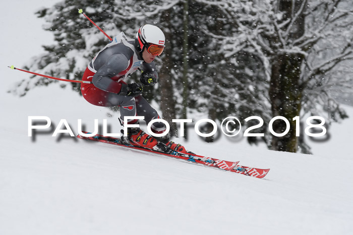 Münchner Skimeisterschaft 2018