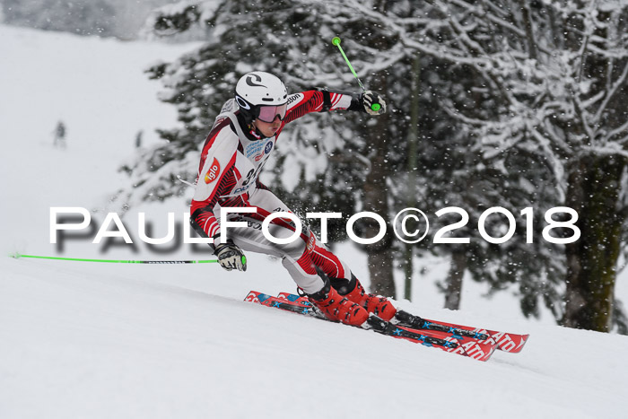 Münchner Skimeisterschaft 2018